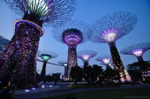 Ботанические сады в Сингапуре