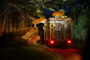 Зоопарк Ночной сафари